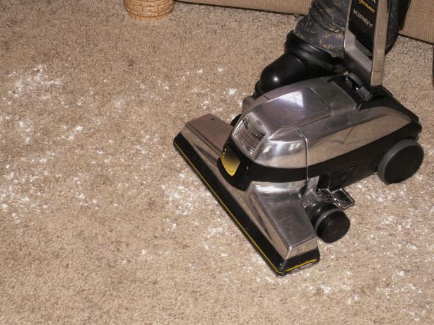 All-Natural Carpet Deodorizer. Photo by JanuaryBride