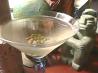 Filthy Martini