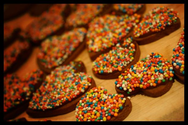 Double Chocolate Freckle Cookies (Biscuits). Photo by Katnic