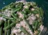 Rita's Garden - Green Beans Parmesan