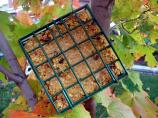 No-Melt Suet (For Birds)