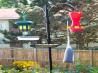 No-Melt Suet (For Birds)