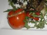 Tomatoes Stuffed With Lamb and Pine Nuts
