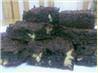 "Whatever Floats Your Boat" Brownies!