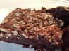"Whatever Floats Your Boat" Brownies!