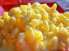 Skillet Macaroni and Cheese. Recipe by Lainey6605