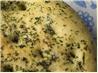 Focaccia With Fresh Herbs. Recipe by riffraff