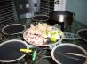 Warm Beer and Cheese Fondue. Recipe by SaffronMeSilly