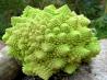 The Wedding Bouquet Vegetable Platter or Romanesco Romano!