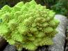 The Wedding Bouquet Vegetable Platter or Romanesco Romano!