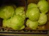 Easy Crunchy Yummy Sauerkraut