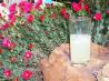 Old-Fashioned Lemonade