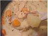 Turkey Soup