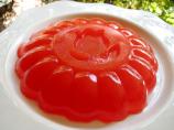 Applesauce Gelatin Squares