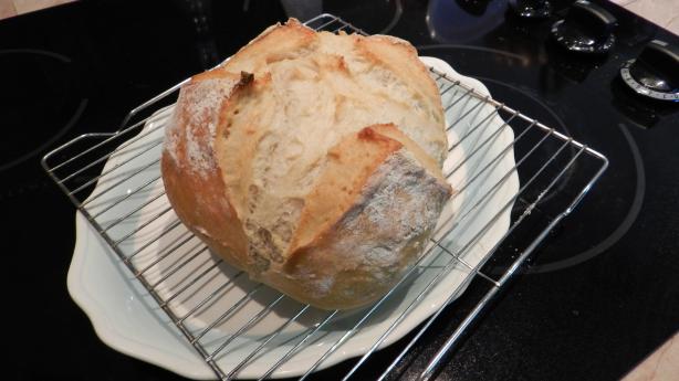 5 Minute Artisan Bread. Photo by adirondackmimi