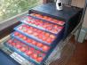 Dehydrating Tomatoes