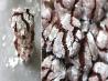 Fudge Crinkles (A Great 4 Ingredient Cake Mix Cookie)