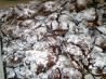 Fudge Crinkles (A Great 4 Ingredient Cake Mix Cookie)