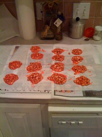 Peanut  Patties  by Microwave. Photo by Chef #855206
