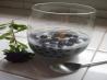 Frozen Blueberries, Rice Milk, and Honey. Recipe by Ethan Barrow