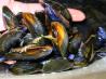 Ahoy There!  Moules Marini&egrave;res - French Sailor's Mussels
