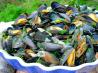 Ahoy There!  Moules Marini&egrave;res - French Sailor's Mussels