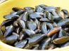 Ahoy There!  Moules Marini&egrave;res - French Sailor's Mussels