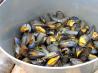 Ahoy There!  Moules Marini&egrave;res - French Sailor's Mussels