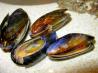Ahoy There!  Moules Marini&egrave;res - French Sailor's Mussels