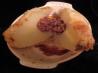 Sugar Encrusted Pear Dumplings