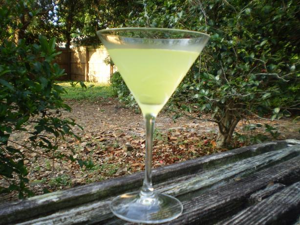 Lemon Drop Cocktail. Photo by breezermom