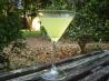 Lemon Drop Cocktail. Photo by breezermom