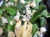 Green Apple Spinach Salad
