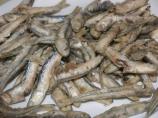 Dalmatian Fried Anchovy