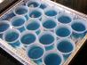 Baja Blue Jello Shots