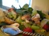 Green Salad With Herb Vinaigrette. Recipe by Lainey6605