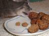 It's Raining Cat and Dog Balls! (Treats)
