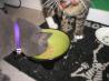 It's Raining Cat and Dog Balls! (Treats)