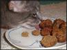 It's Raining Cat and Dog Balls! (Treats)