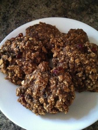   Breakfast Recipes on Vegan Low Fat Breakfast Cookies Recipe   Food Com   330270