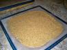 Raw Flax-Tomato Crackers  (Dehydrated)