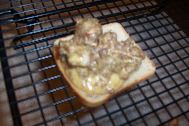 Zesty Sausage Squares  (Appetizer). Photo by ARathkamp