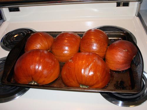 Fresh Roasted Pumpkins. Photo by LilPinkieJ