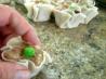 Yokohama Style Shumai Dumpling
