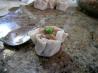 Yokohama Style Shumai Dumpling
