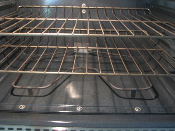 Oven Rack Cleaner. Photo by Bonnie G #2