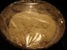 Speedy No-Knead Bread. Recipe by blucoat