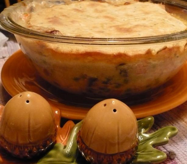 Turkey Pot Pie With Dumpling Crust. Photo by QueenBee49444