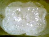 Yogurt Ranch Dressing