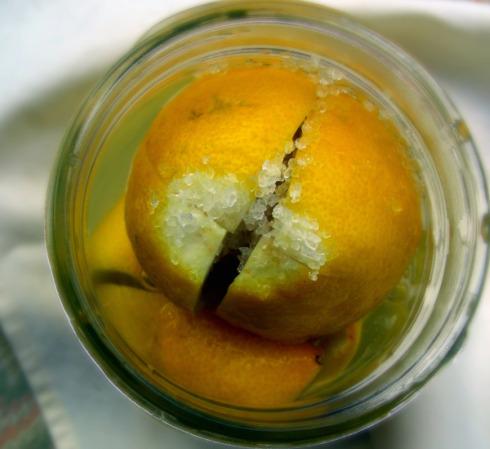 Preserved Lemons. Photo by Andi of Longmeadow Farm